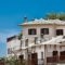 Lions Nine_best deals_Hotel_Thessaly_Magnesia_Mouresi