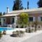 Villa Oleander_accommodation_in_Villa_Ionian Islands_Corfu_Corfu Rest Areas