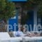 Voula Apartments & Rooms_best prices_in_Room_Cyclades Islands_Mykonos_Mykonos ora