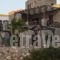 Syrou Lotos_accommodation_in_Hotel_Cyclades Islands_Syros_Posidonia