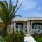 Peristeri Apartments_best prices_in_Apartment_Cyclades Islands_Antiparos_Antiparos Chora
