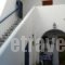 Apostolis Studios_accommodation_in_Hotel_Cyclades Islands_Paros_Paros Chora