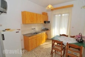 Eva Apartments_best prices_in_Apartment_Aegean Islands_Thasos_Limenaria