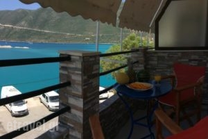 Orfeas Rooms_best deals_Room_Ionian Islands_Lefkada_Lefkada's t Areas
