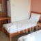 Hotel Stella_best deals_Hotel_Thessaly_Magnesia_Chania