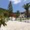 Panormos Beach Skopelos_holidays_in_Hotel_Sporades Islands_Skopelos_Skopelos Chora