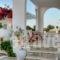 Paros Rita Studios_holidays_in_Hotel_Cyclades Islands_Paros_Alyki