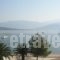 Pension Hirolakas_travel_packages_in_Central Greece_Fokida_Galaxidi