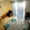 House Capetanios Apartments_best deals_Apartment_Macedonia_Halkidiki_Neos Marmaras