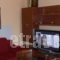 Alena Apartments_lowest prices_in_Apartment_Crete_Chania_Chania City