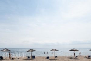 Alkinoos Beach Hotel_best deals_Hotel_Macedonia_Halkidiki_Nea Moudania