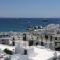 The George_accommodation_in_Hotel_Cyclades Islands_Mykonos_Psarou