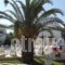 Konstantina Apartments_best deals_Apartment_Ionian Islands_Corfu_Lefkimi