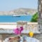 Margarita's House_lowest prices_in_Hotel_Cyclades Islands_Paros_Piso Livadi