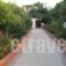 Villa Myrto_travel_packages_in_Crete_Heraklion_Chersonisos