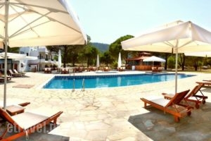 Alexandros Hotel Apartments_accommodation_in_Apartment_Macedonia_Halkidiki_Vourvourou
