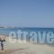 GeorgiasHouse_best prices_in_Hotel_Sporades Islands_Skyros_Linaria