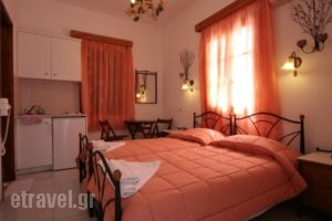 Studios Bourgos I_travel_packages_in_Cyclades Islands_Naxos_Naxos Chora