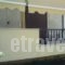 Kleanthis Apartments_best prices_in_Apartment_Macedonia_Halkidiki_Nea Moudania
