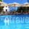 Kalithea Studios_best prices_in_Hotel_Sporades Islands_Alonnisos_Patitiri