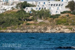 Hippocampus Hotel_accommodation_in_Hotel_Cyclades Islands_Paros_Paros Chora