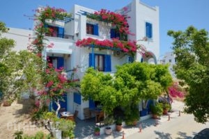 Rena Valetta Studios_accommodation_in_Hotel_Cyclades Islands_Naxos_Naxos Chora