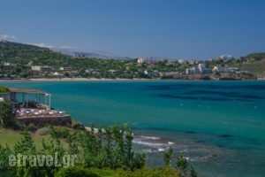 Plaka Studios_holidays_in_Hotel_Aegean Islands_Chios_Aghia Ermioni