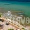 Plaka Studios_travel_packages_in_Aegean Islands_Chios_Aghia Ermioni