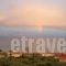 Golden Beach Inn_travel_packages_in_Aegean Islands_Thasos_Limenaria