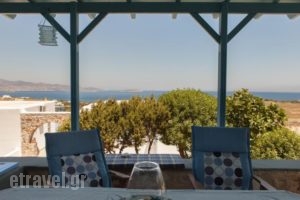 Ergina Summer Resort_accommodation_in_Hotel_Cyclades Islands_Antiparos_Antiparos Chora