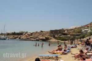 Lino Apartments_holidays_in_Apartment_Cyclades Islands_Mykonos_Mykonos Chora