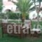 Villa Avra_accommodation_in_Villa_Ionian Islands_Corfu_Corfu Rest Areas