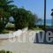 Beach Bungalows_best deals_Hotel_Ionian Islands_Zakinthos_Alykes