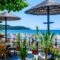 Piatsa Michalis_best deals_Hotel_Aegean Islands_Thasos_Potos