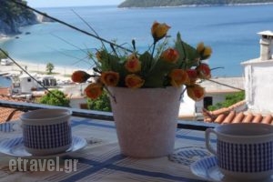 Mariren_accommodation_in_Hotel_Sporades Islands_Skopelos_Neo Klima - Elios