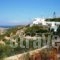 Kounenos Apartments_lowest prices_in_Apartment_Crete_Lasithi_Aghios Nikolaos