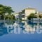 Eleonas Apartments_holidays_in_Apartment_Dodekanessos Islands_Rhodes_Archagelos