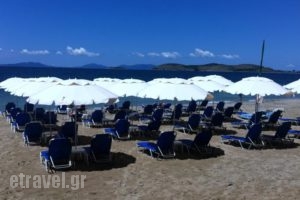 Camping Drepanos_best deals_Hotel_Epirus_Thesprotia_Igoumenitsa