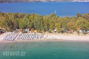 Camping Drepanos_lowest prices_in_Hotel_Epirus_Thesprotia_Igoumenitsa