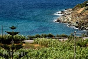 Irida Apartments_lowest prices_in_Apartment_Cyclades Islands_Syros_Syros Rest Areas