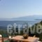 Meganisi Villas_holidays_in_Villa_Ionian Islands_Lefkada_Lefkada's t Areas