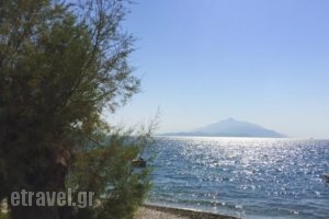 Spiti Hotel_holidays_in_Hotel_Aegean Islands_Samos_Pythagorio