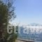 Spiti Hotel_holidays_in_Hotel_Aegean Islands_Samos_Pythagorio