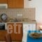 Agnantio Studio_best prices_in_Hotel_Sporades Islands_Skopelos_Skopelos Chora
