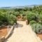 Rafioli House_travel_packages_in_Crete_Chania_Fournes