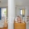 Kanellis Studios_best prices_in_Hotel_Piraeus Islands - Trizonia_Kithira_Kithira Rest Areas