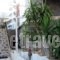 Villa Helena_best prices_in_Villa_Dodekanessos Islands_Rhodes_Paradisi