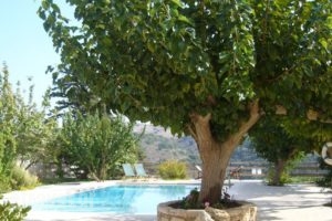 Kamares Houses_holidays_in_Hotel_Crete_Chania_Sfakia