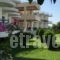 Ostria Hotel Kakovatos Beach_accommodation_in_Hotel_Peloponesse_Ilia_Zacharo