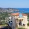 Villa Aaron_accommodation_in_Villa_Crete_Rethymnon_Mylopotamos